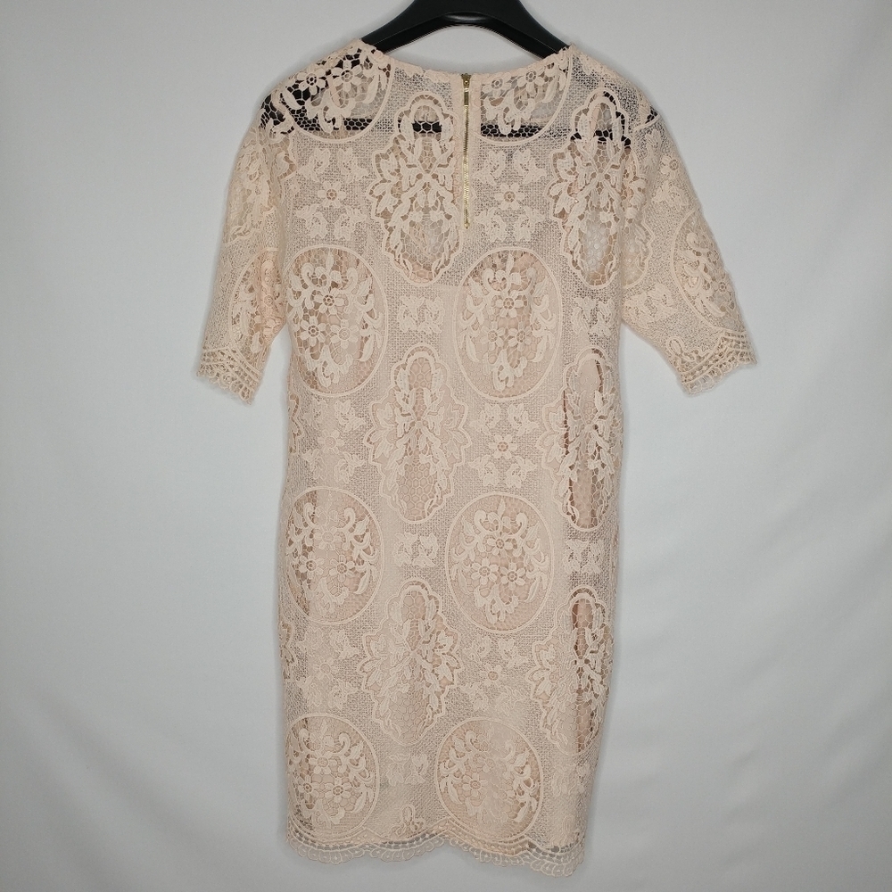 Zara Nude Pink Lace Dress - Picture 11 of 14